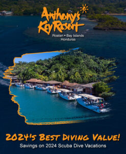 Join us for our 2024 trip to Roatan Honduras 