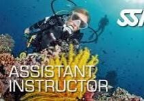 assistant instructor